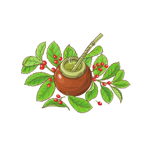 Yerba historia 3