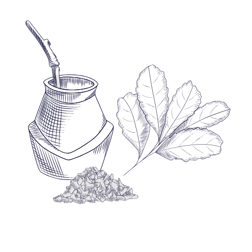 Yerba historia 4