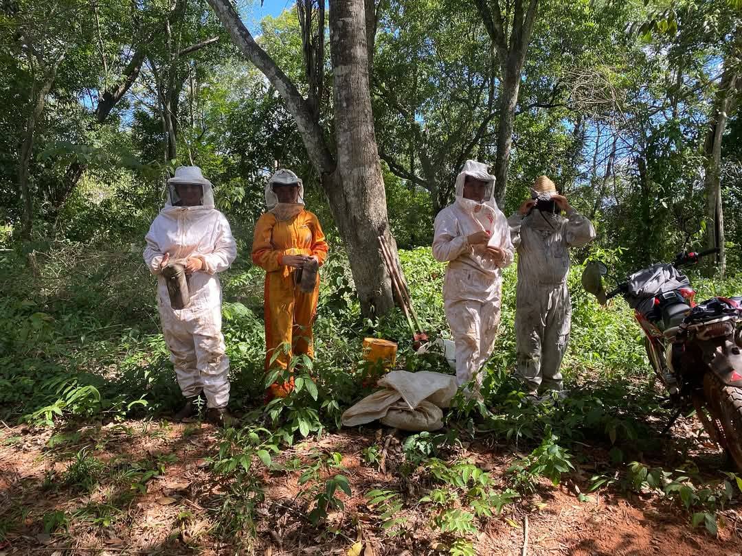 Biodiversidad